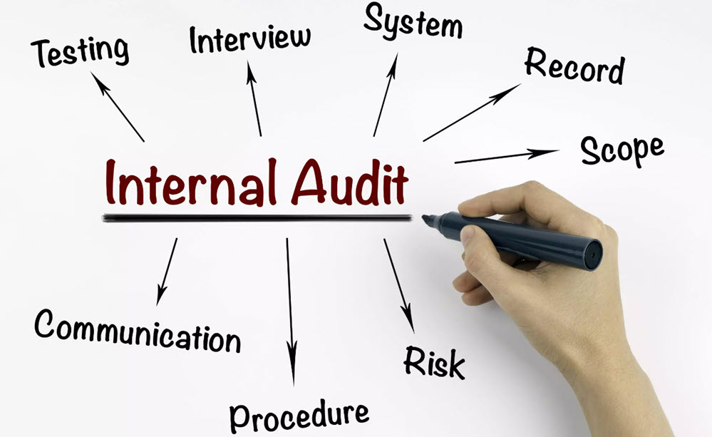 Advantages of Using an Internal Audit Organisation